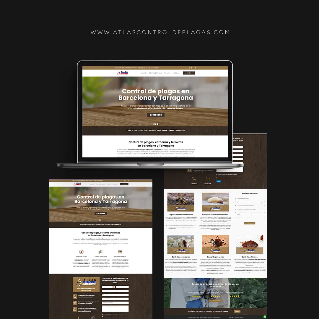 Landing Page y diseño web barato